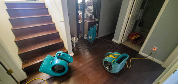 Best Water damage restoration near me  in Bald Kno, AR