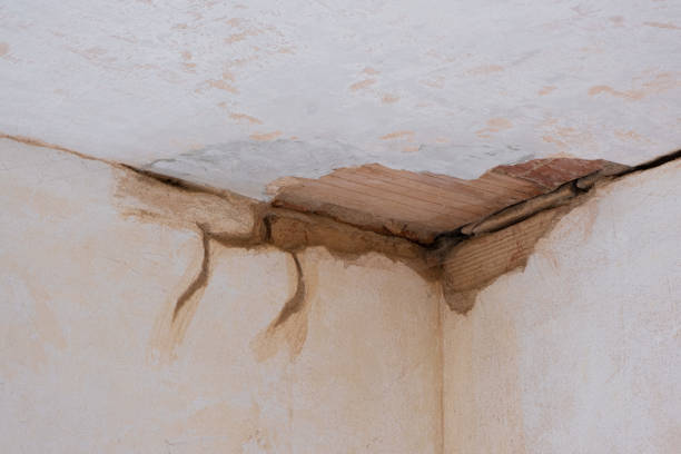 Best Water damage mitigation services  in Bald Kno, AR