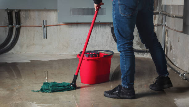 Best Basement water damage restoration  in Bald Kno, AR