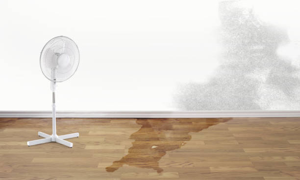 Best 24-hour water damage restoration  in Bald Kno, AR